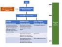 PrimTEd organisational structure.jpg PrimTEd organisational structure.jpg