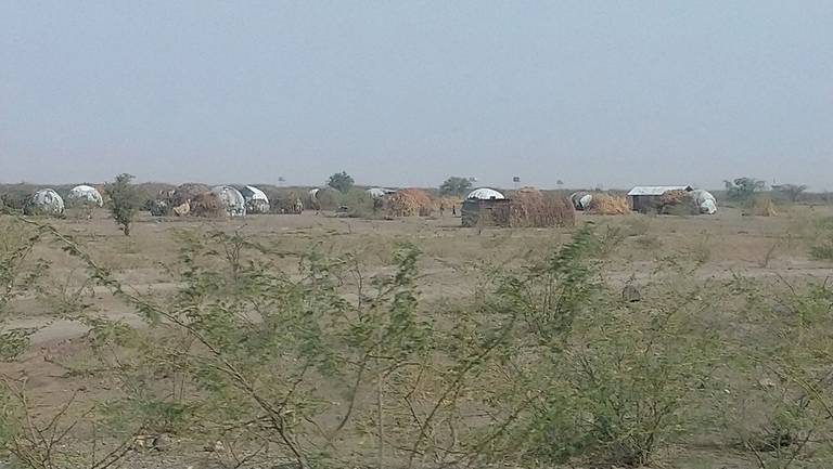 Turkana houses1.JPG