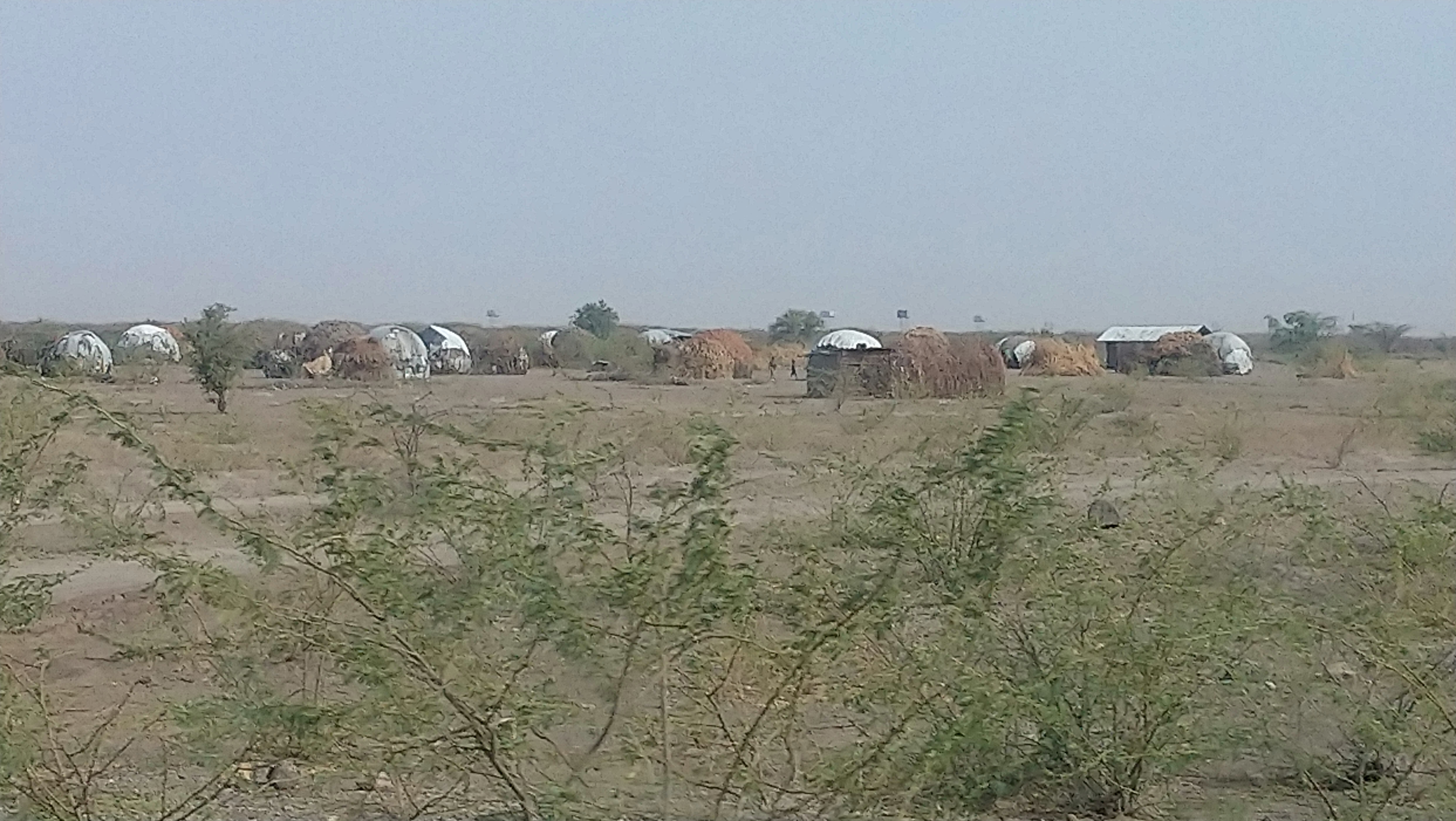 Turkana houses1.JPG