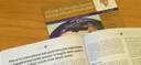 Latest Journal: African Evaluation Journal Vol 8, No 1 (2020)