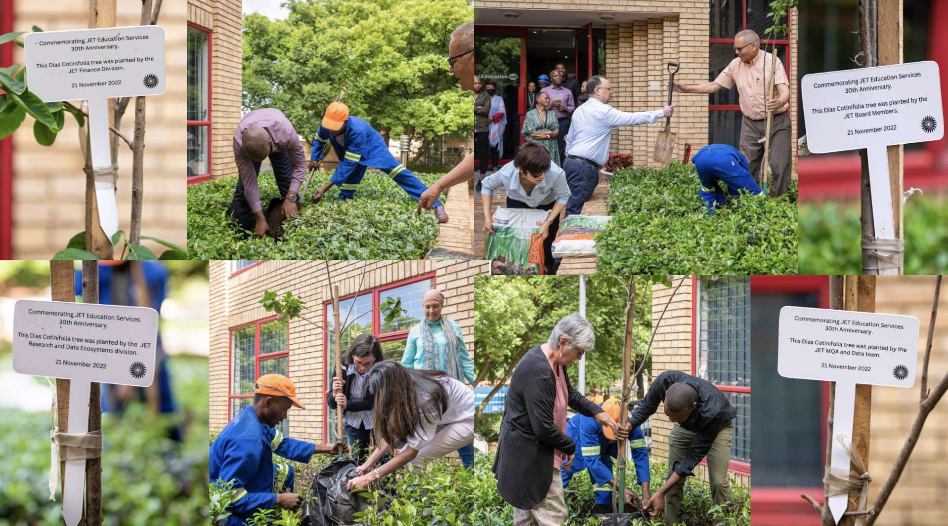 Tree Planting ceremony marks JET's 30th anniversary — JET Education ...