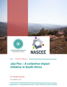 Thought piece 2: Jala Peo – A collective impact initiative in South Africa