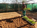 Booysendal PS receiving seedlings20200706_102726.jpg